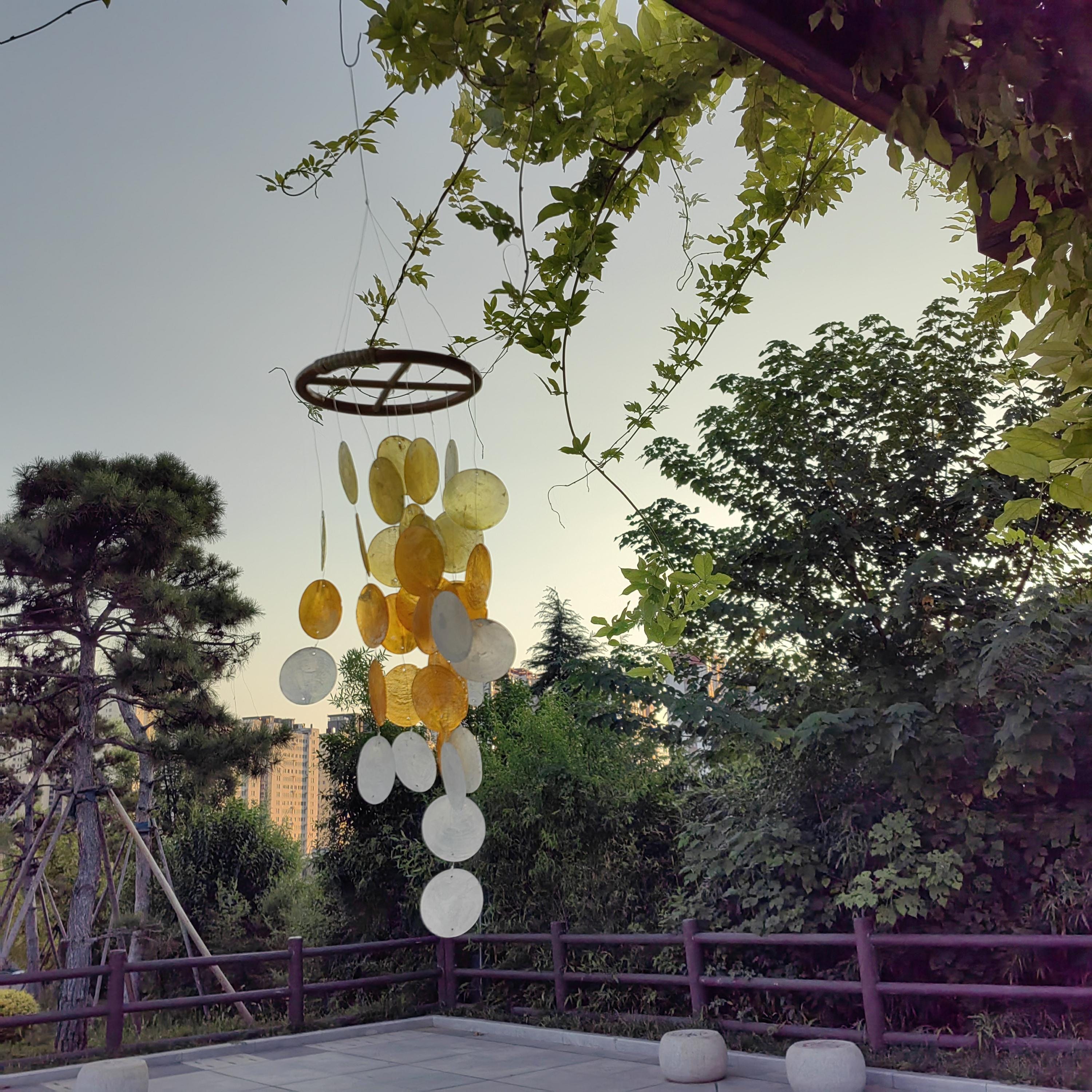 Handmade Seashell Wind Chime, Coastal Home Decor, Boho Wind Chime, Delicate Shell Wind Chime, Handmade Beach Decor, Gift for Sea Lovers