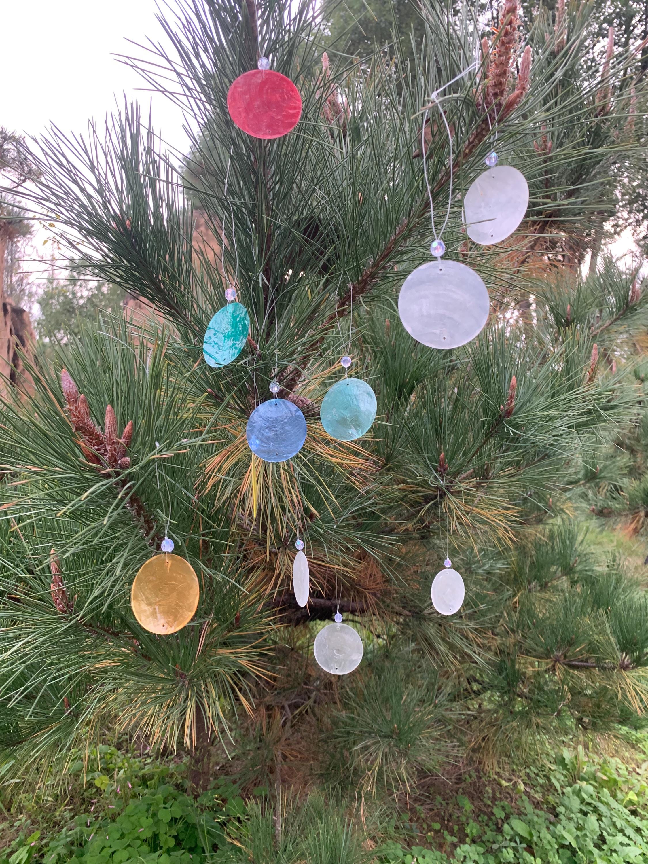 Colorful Natural Capiz Shell Ornament, Iridescent Yule Tree Decoration, Handmade Boho Christmas Bauble, Minimalist Holiday Decor, Yule Decor