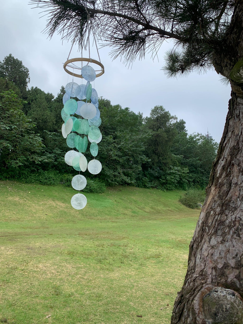 Handmade Blue & White Seashell Wind Chime,  Natural Ocean Beach Decor, Ocean Breeze Seashell Wind Chime, Beach House Decor, Gifts for Her